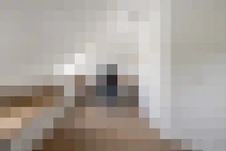 Zuivelhof 12 Warder thumbnail 23