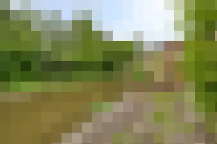 Zuivelhof 12 Warder thumbnail 31