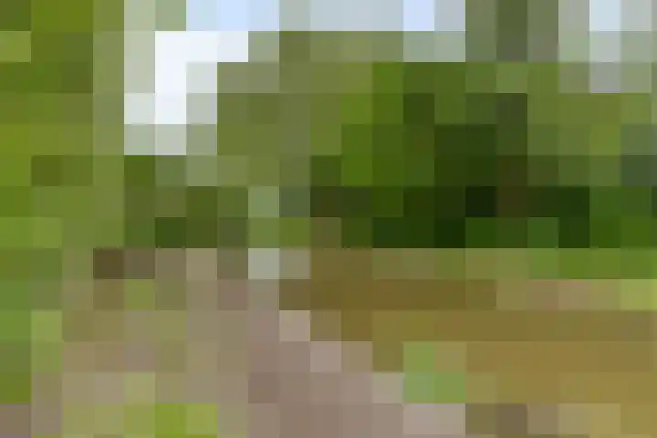 Zuivelhof 12 Warder thumbnail 32
