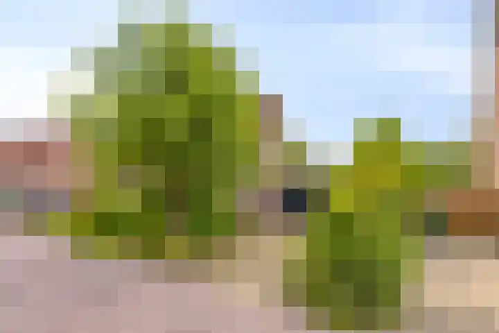 Zuivelhof 12 Warder thumbnail 33