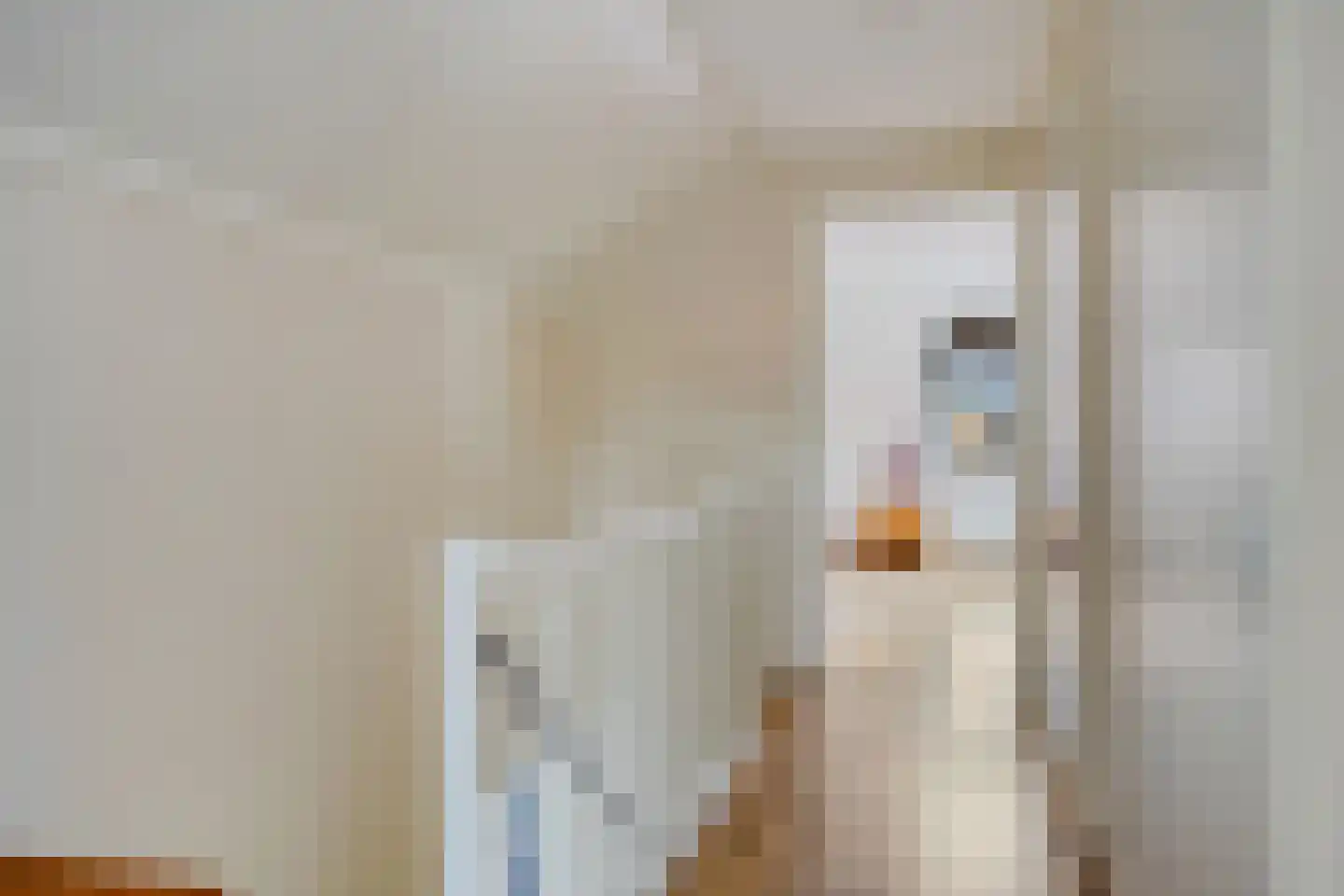 Zuivelhof 14 Eefde thumbnail 14