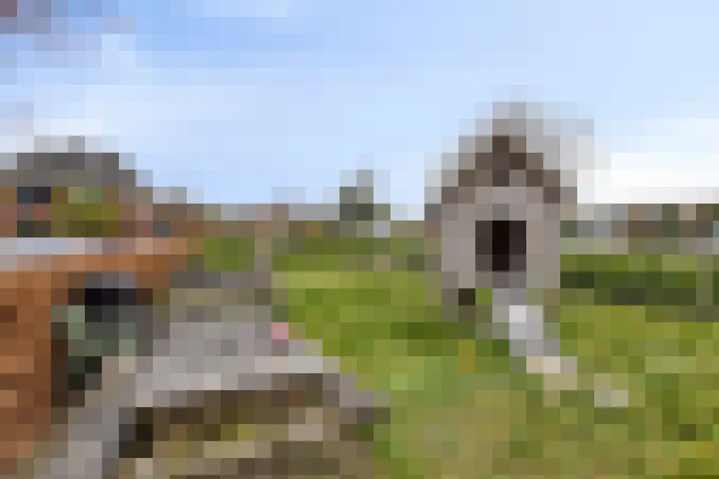 Zuivelhof 14 Eefde thumbnail 35