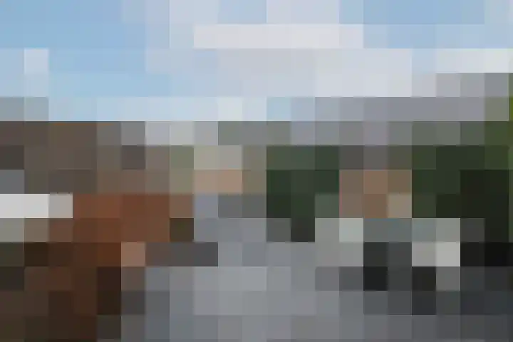Zuivelhof 19 Hoogland thumbnail 15
