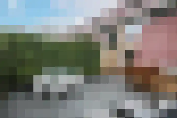 Zuivelhof 19 Hoogland thumbnail 16