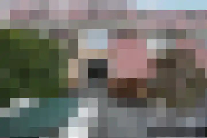 Zuivelhof 19 Hoogland thumbnail 4