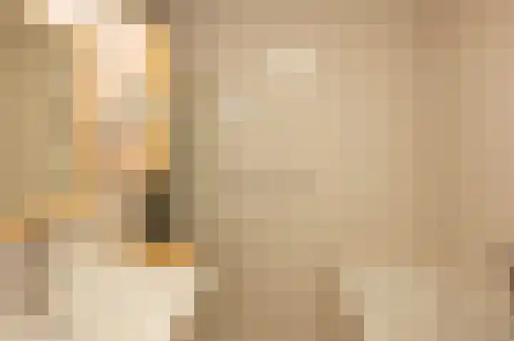Zuivelhof 3 Vorden thumbnail 20