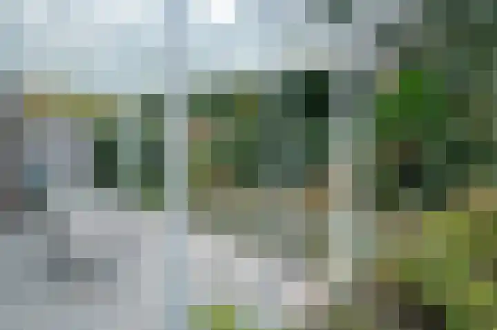 Zuivelhof 3 Vorden thumbnail 39