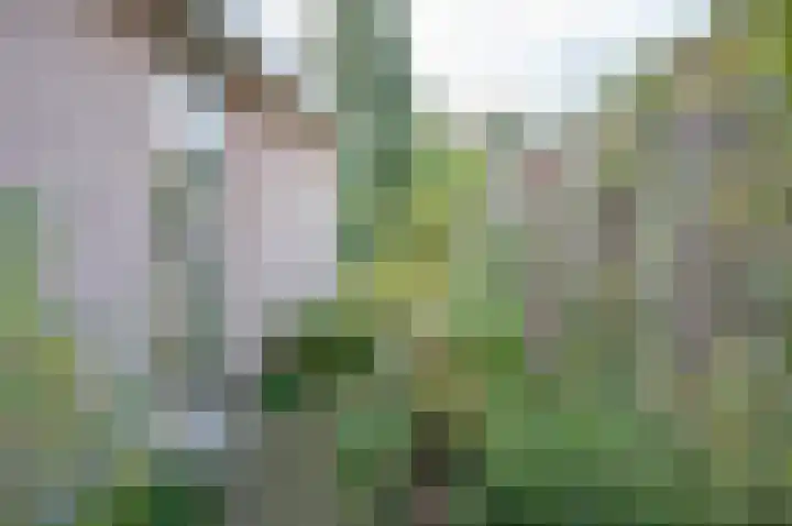 Zuivelhof 3 Vorden thumbnail 42