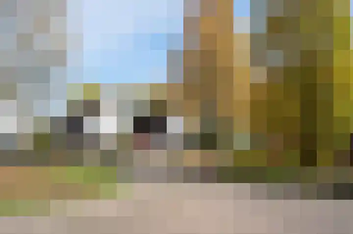 Zuivelhof 3 Vorden thumbnail 44