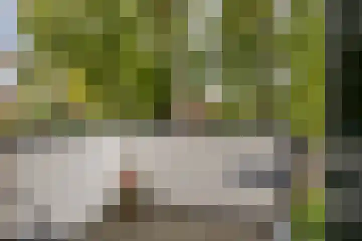 Zuivelhof 40 Hoogland thumbnail 5