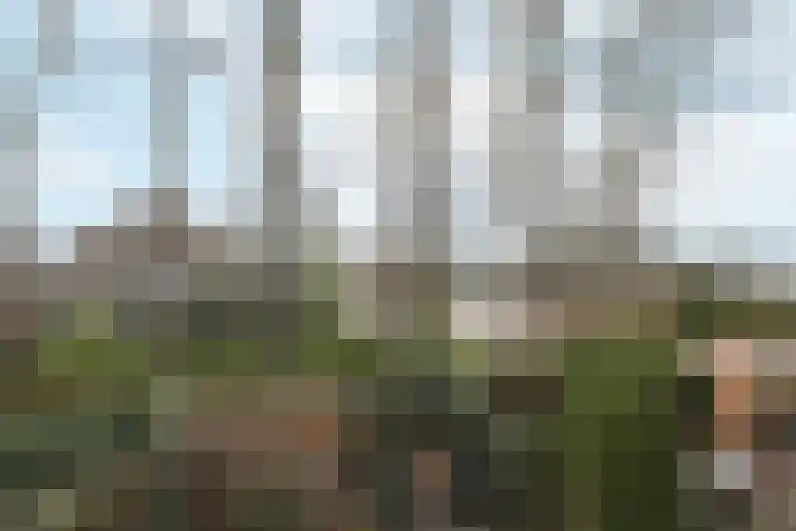 Zuivelhof 44 Hoogland thumbnail 21