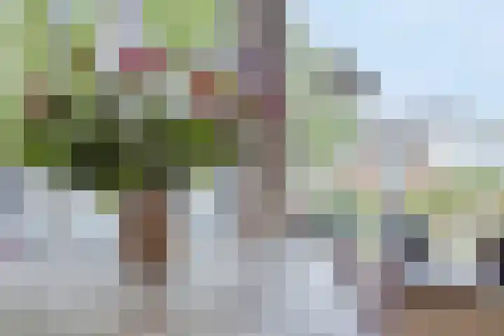 Zuivelhof 49 Hoogland thumbnail 17