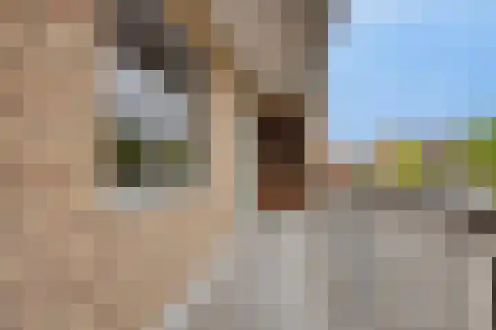 Zuivelhof 49 Hoogland thumbnail 7