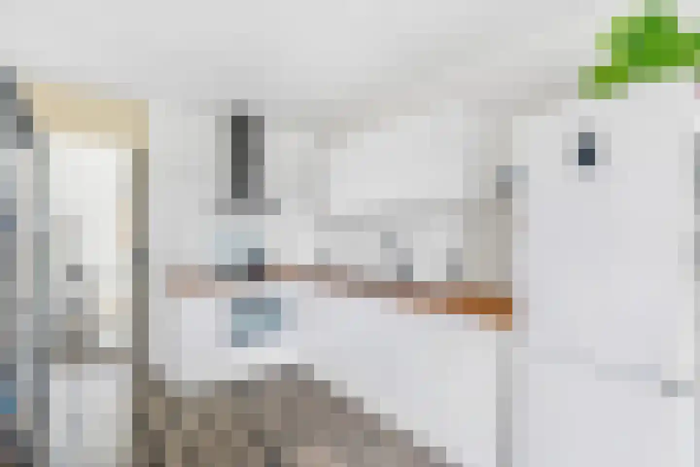 Zuivelhof 68 Hoogland thumbnail 15