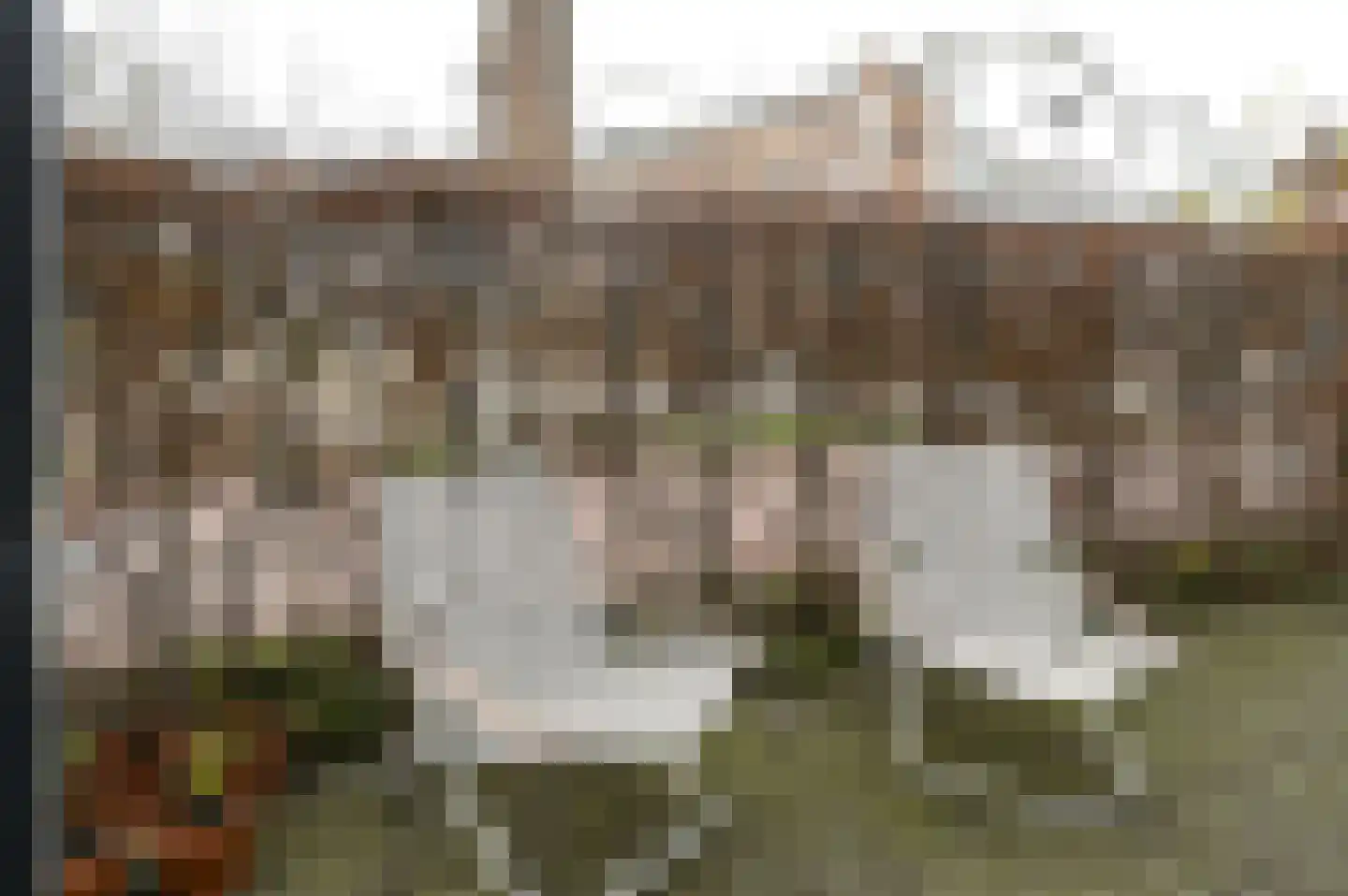 Zuivelpad 17 Hilversum thumbnail 12