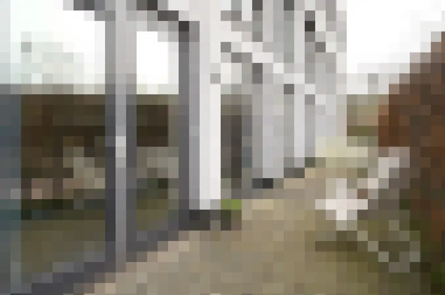 Zuivelpad 17 Hilversum thumbnail 13