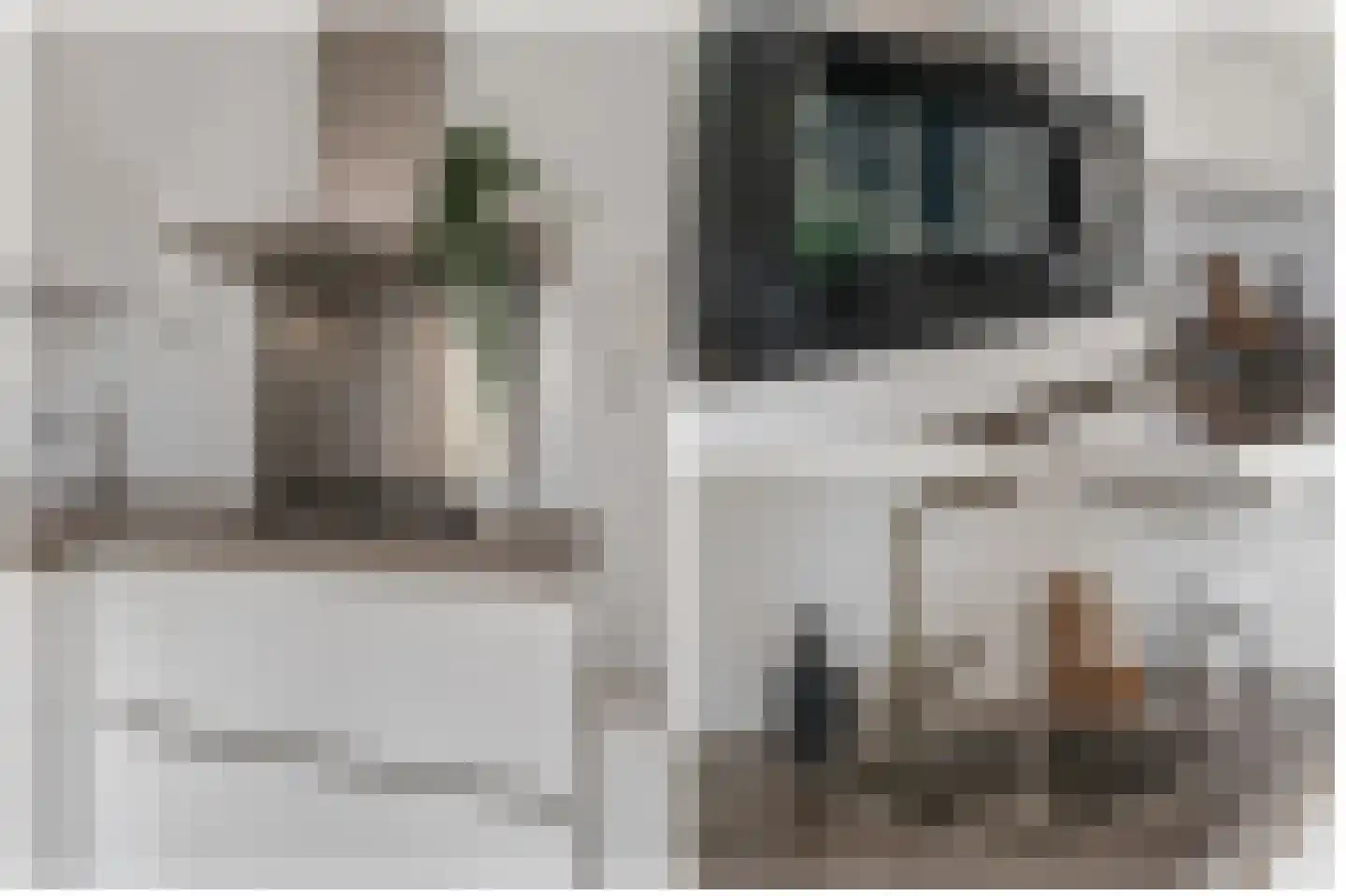 Zuivelpad 3 Hilversum thumbnail 10