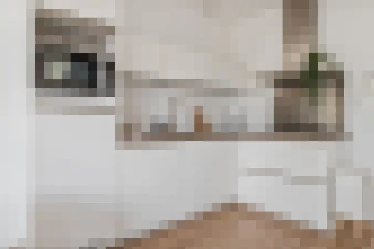 Zuivelpad 3 Hilversum thumbnail 9