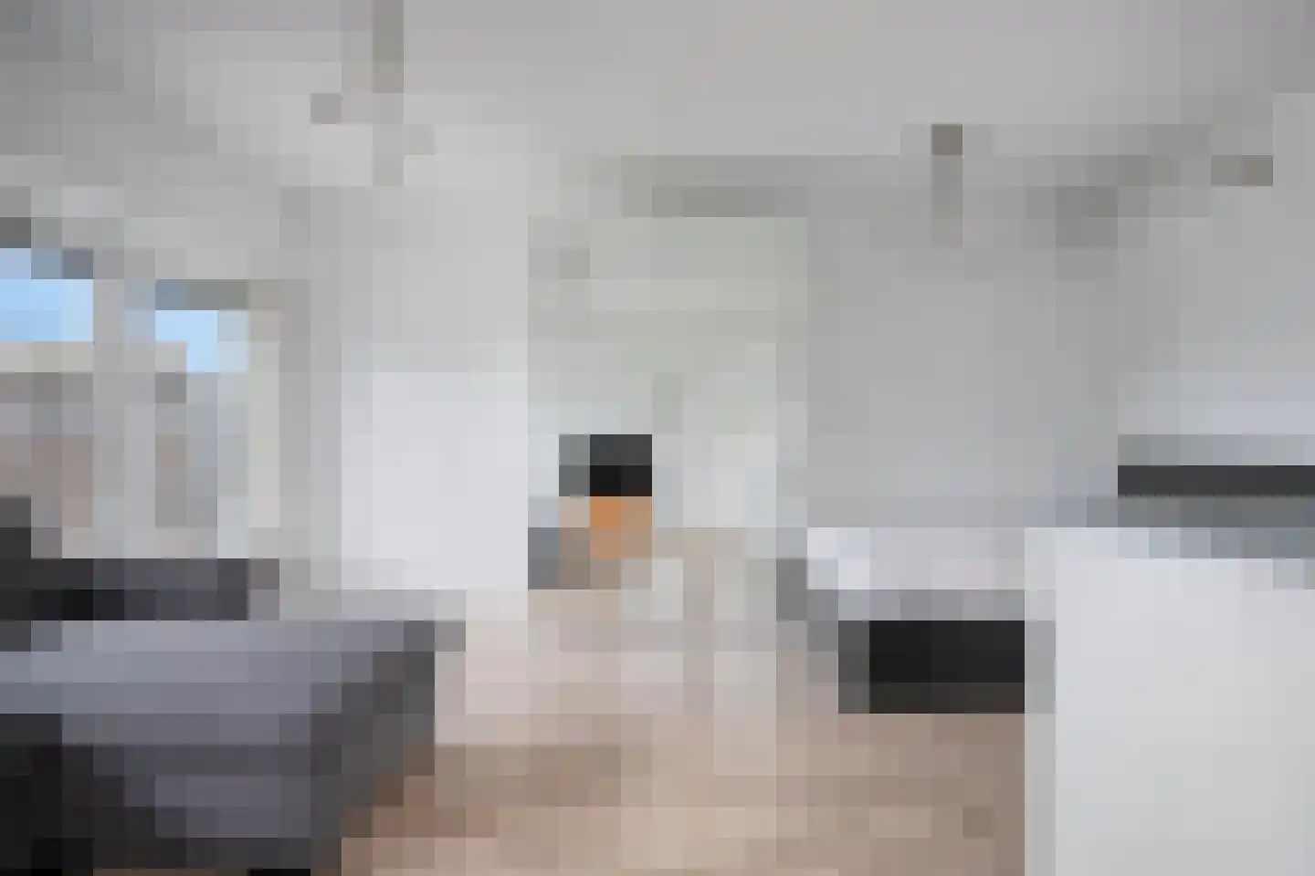 Zuivelpad 31 Hilversum thumbnail 4