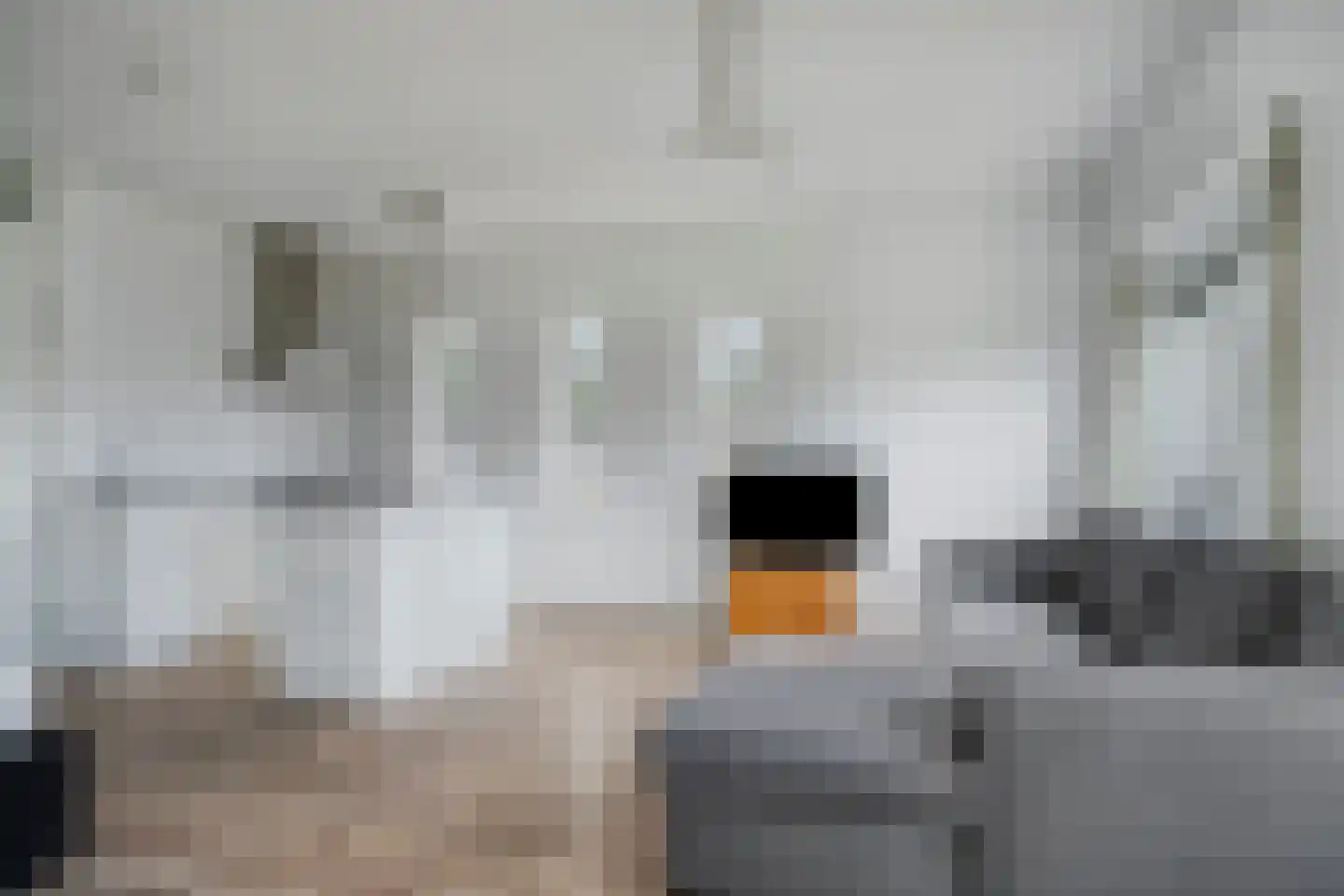 Zuivelpad 31 Hilversum thumbnail 7