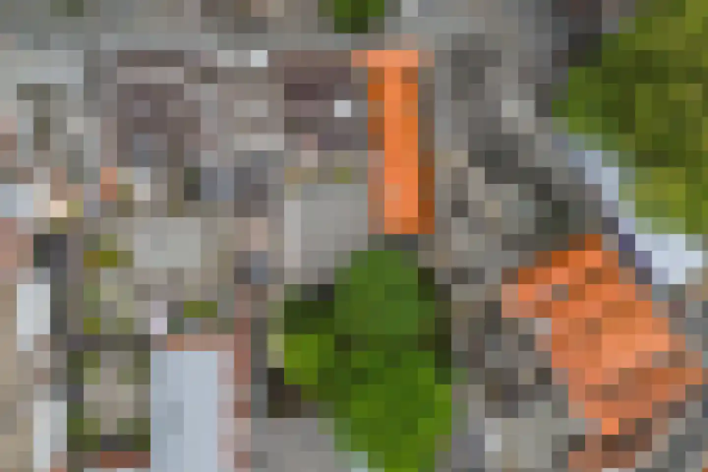 Zuivelplein 3 Bergen op Zoom thumbnail 50