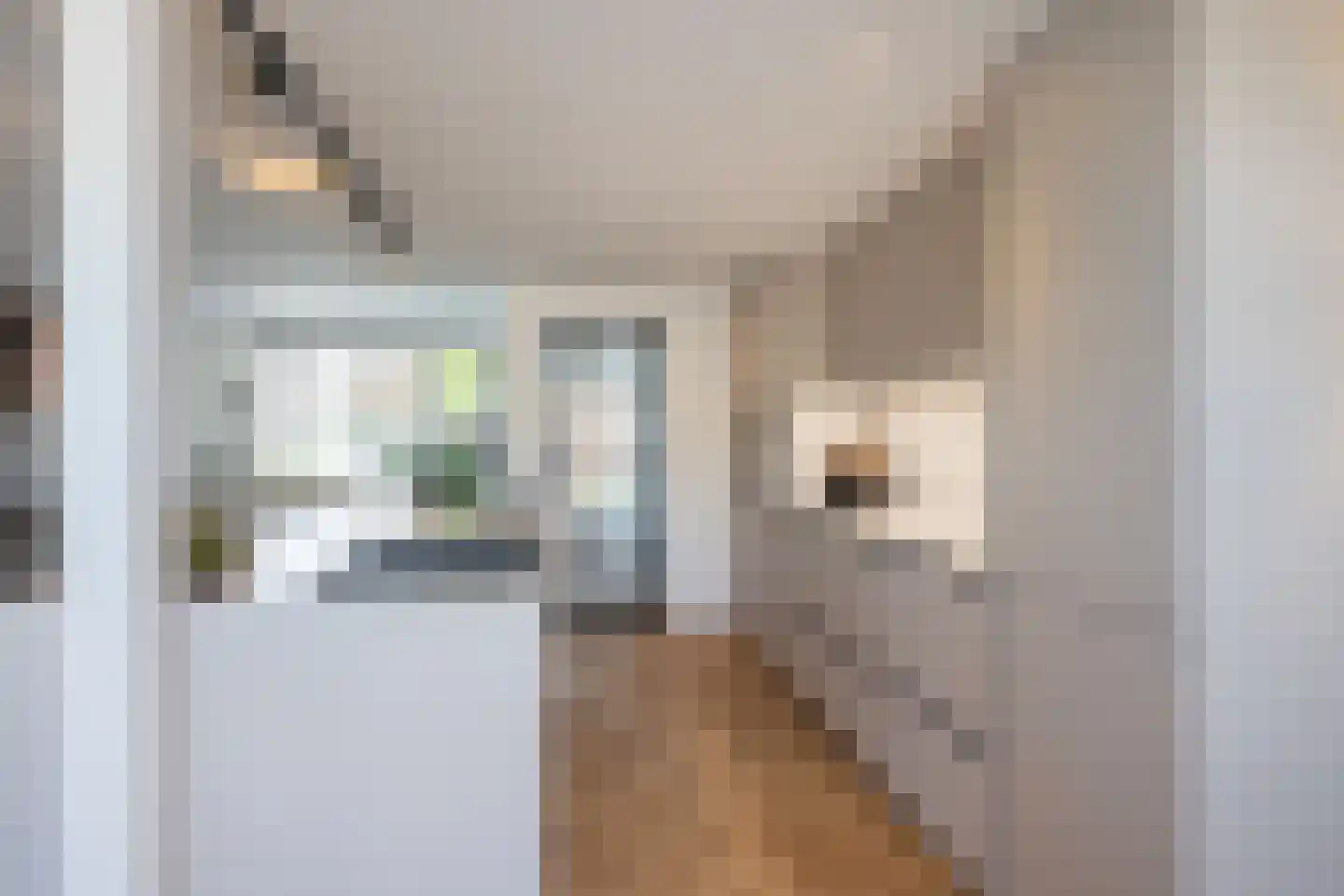Zuivelstraat 13 Beltrum thumbnail 10