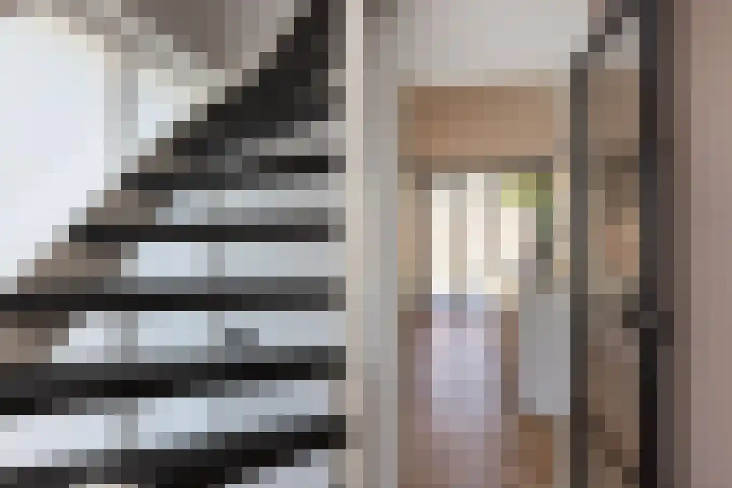 Zuivelstraat 13 Beltrum thumbnail 14