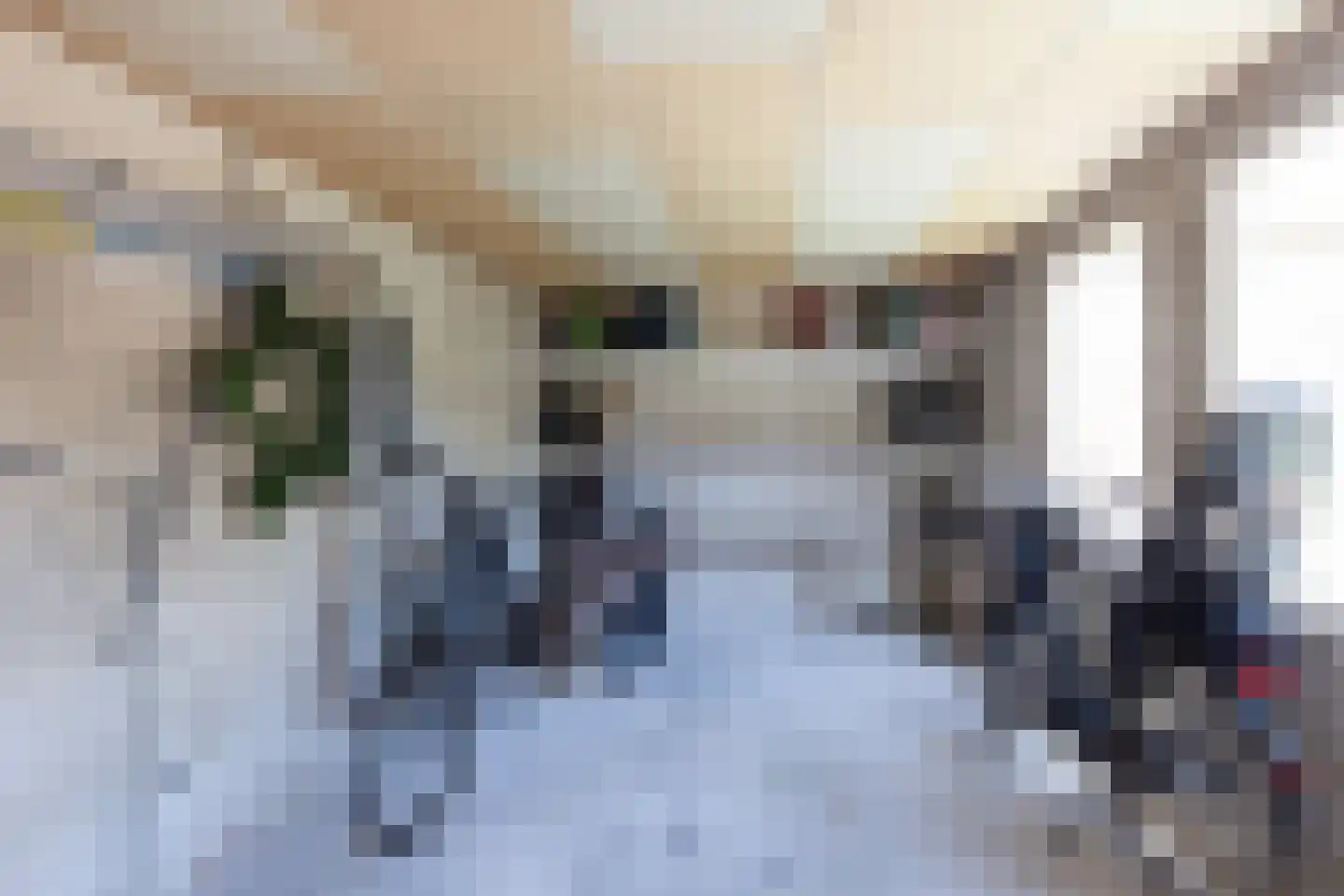 Zuivelstraat 13 Beltrum thumbnail 36