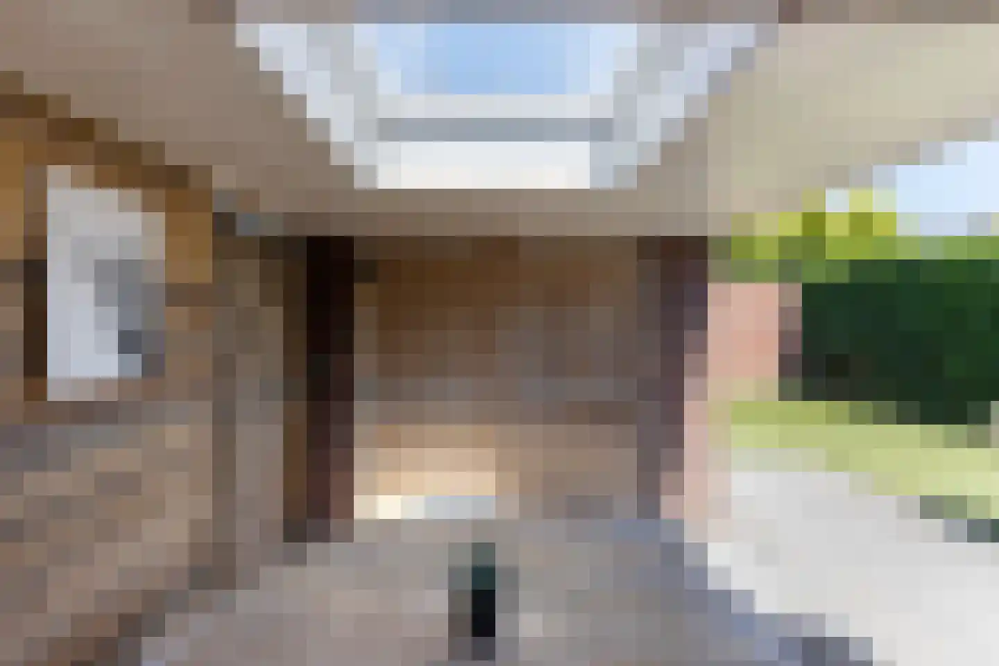 Zuivelstraat 13 Beltrum thumbnail 37