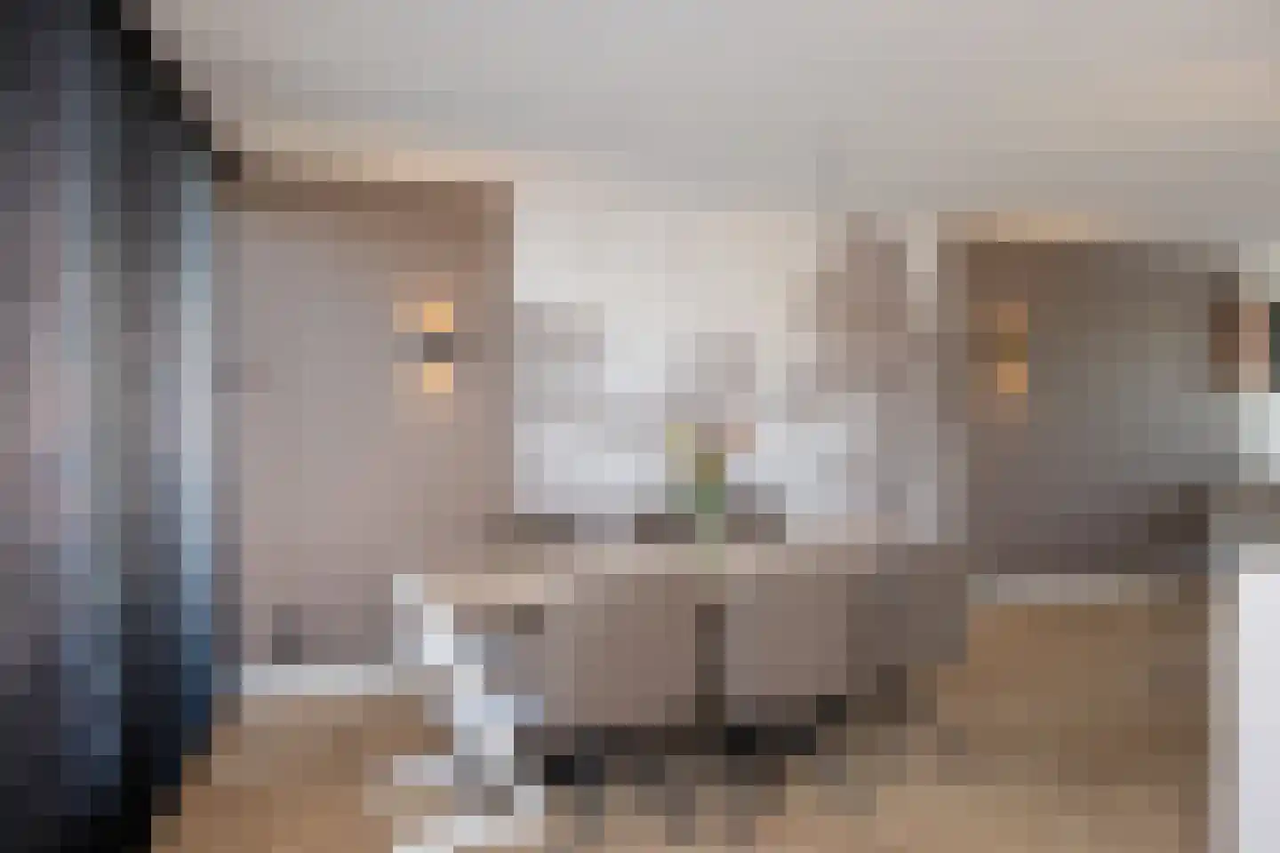 Zuivelstraat 13 Beltrum thumbnail 4