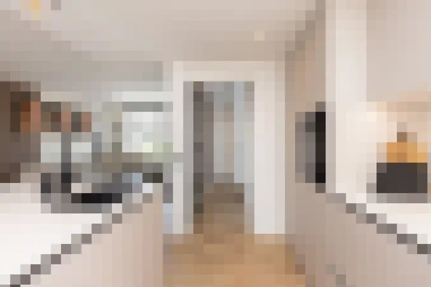 Zuivelstraat 13 Beltrum thumbnail 7