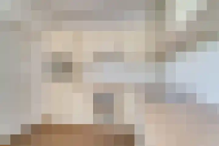 Zuivelstraat 14 Didam thumbnail 14