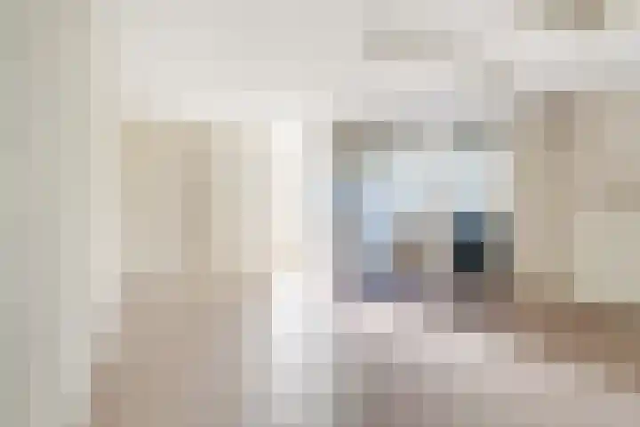 Zuivelstraat 14 Didam thumbnail 15