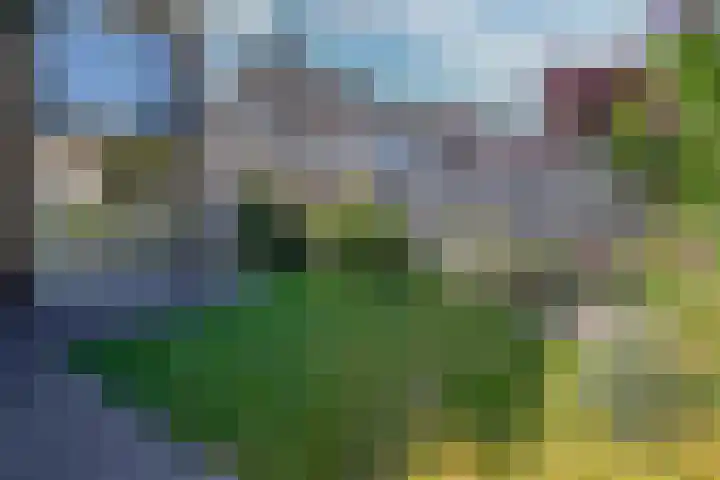 Zuivelstraat 14 Didam thumbnail 23