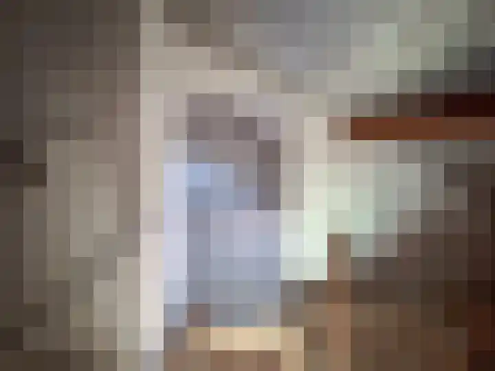 Zuivelstraat 14 Didam thumbnail 39