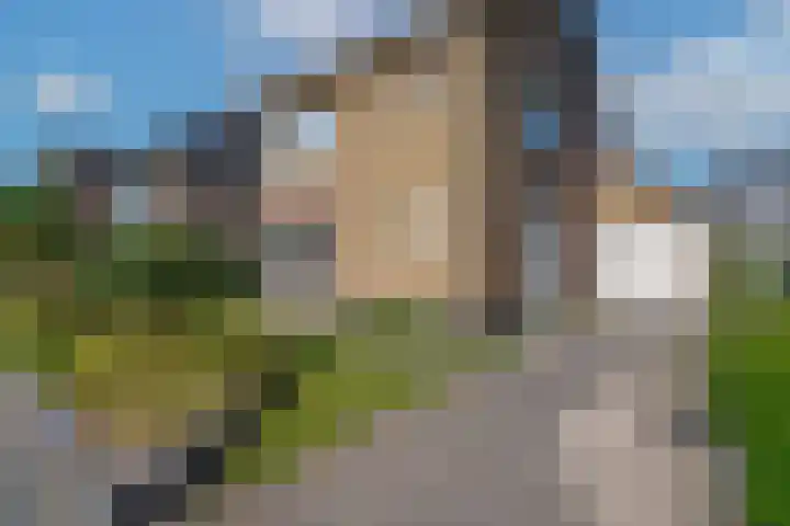 Zuivelstraat 14 Didam thumbnail 4