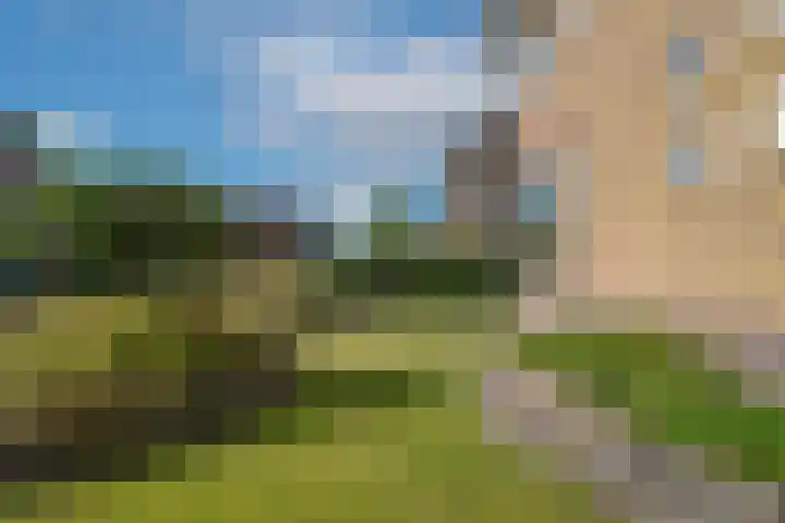 Zuivelstraat 14 Didam thumbnail 41