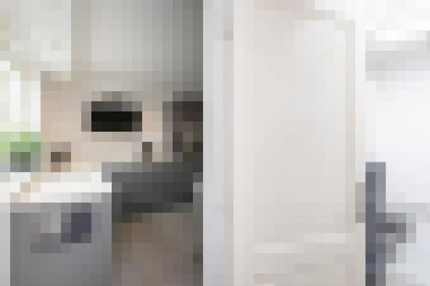 Zuivelstraat 21 Beltrum thumbnail 10