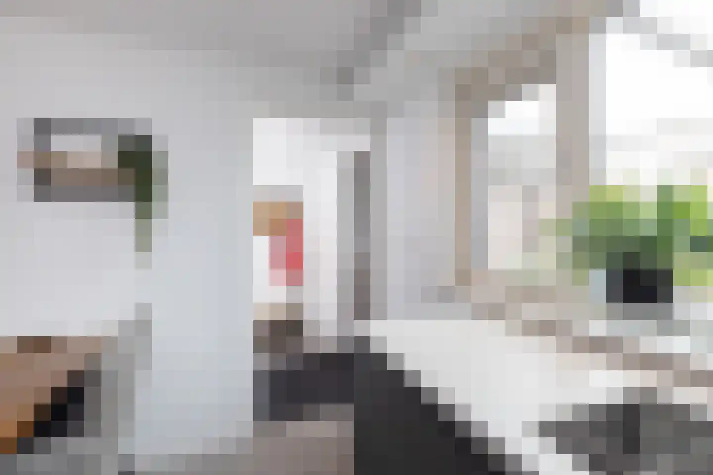 Zuivelstraat 21 Beltrum thumbnail 11