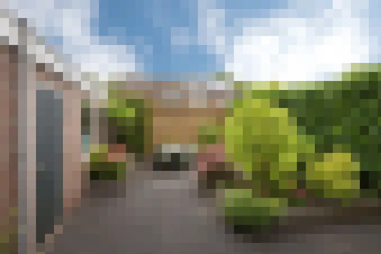 Zuivelstraat 21 Beltrum thumbnail 33