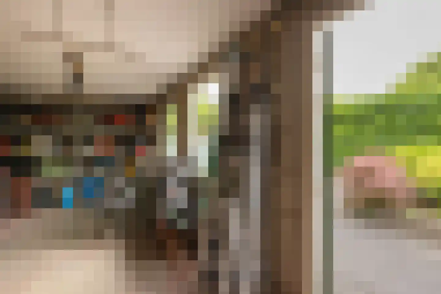 Zuivelstraat 21 Beltrum thumbnail 35