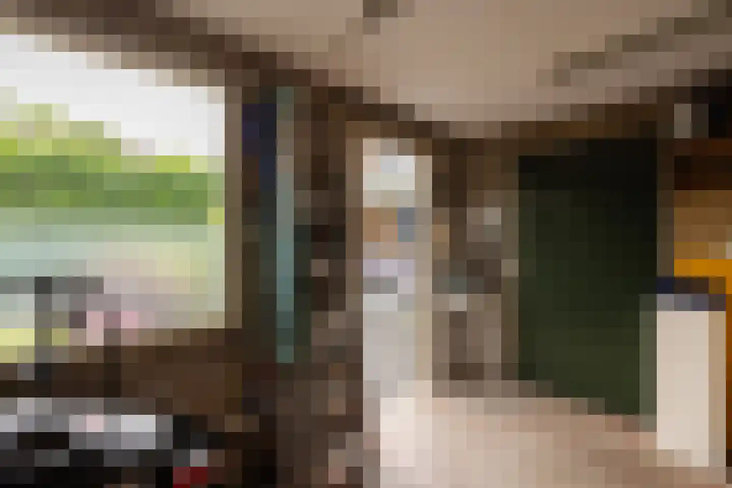 Zuivelstraat 21 Beltrum thumbnail 36