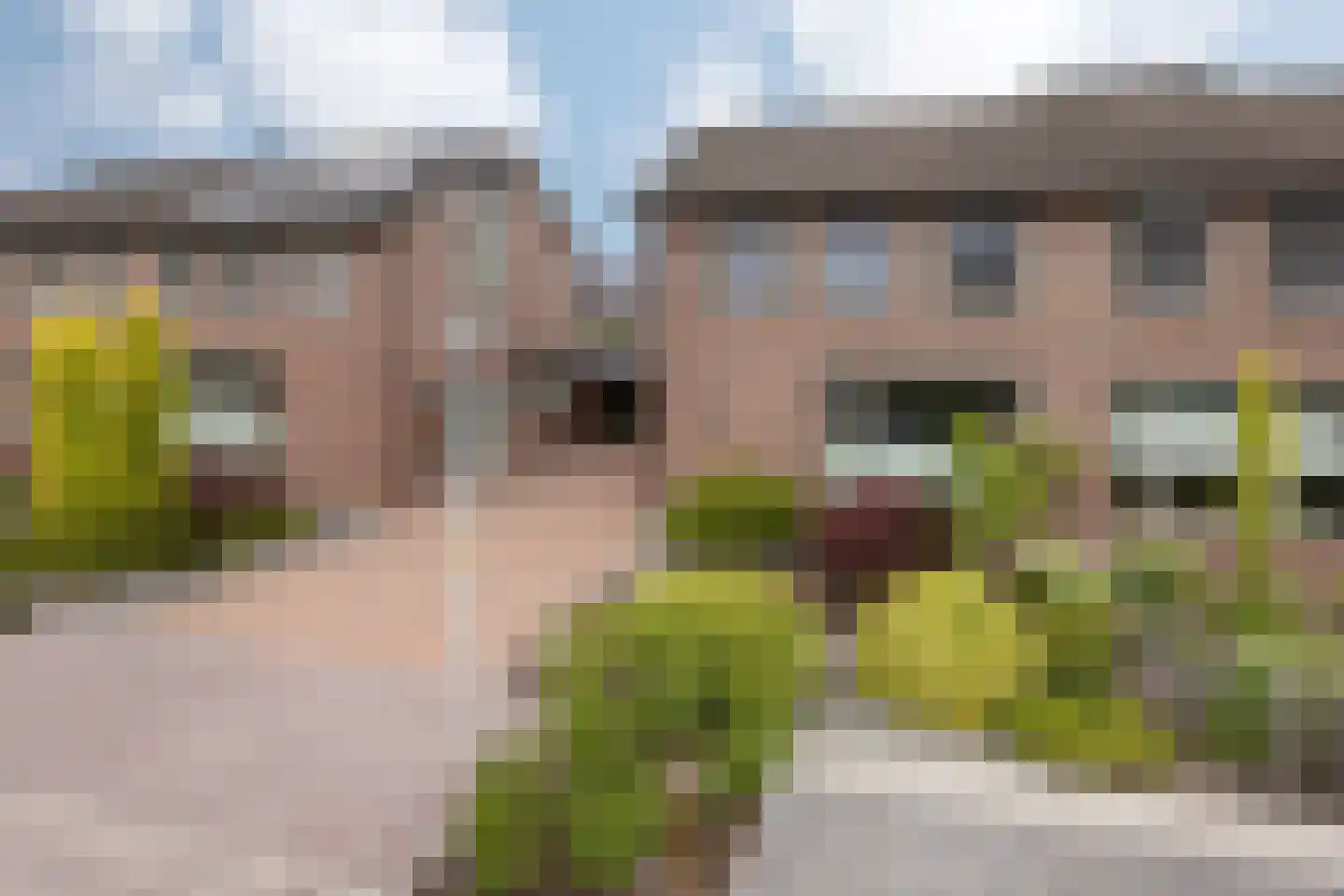 Zuivelstraat 21 Beltrum thumbnail 38