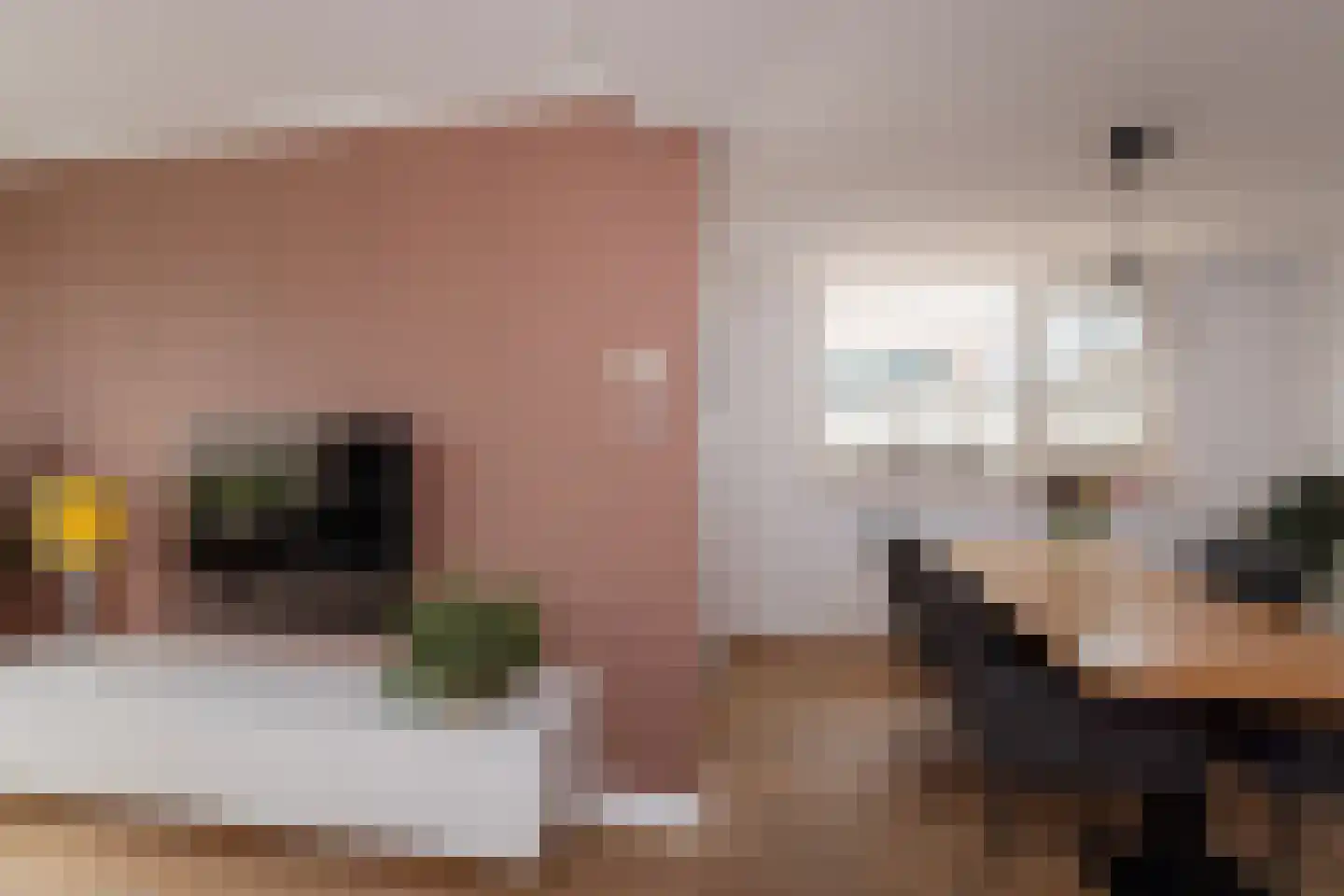 Zuivelstraat 21 Beltrum thumbnail 4