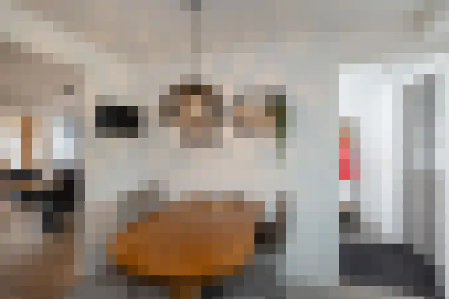 Zuivelstraat 21 Beltrum thumbnail 7