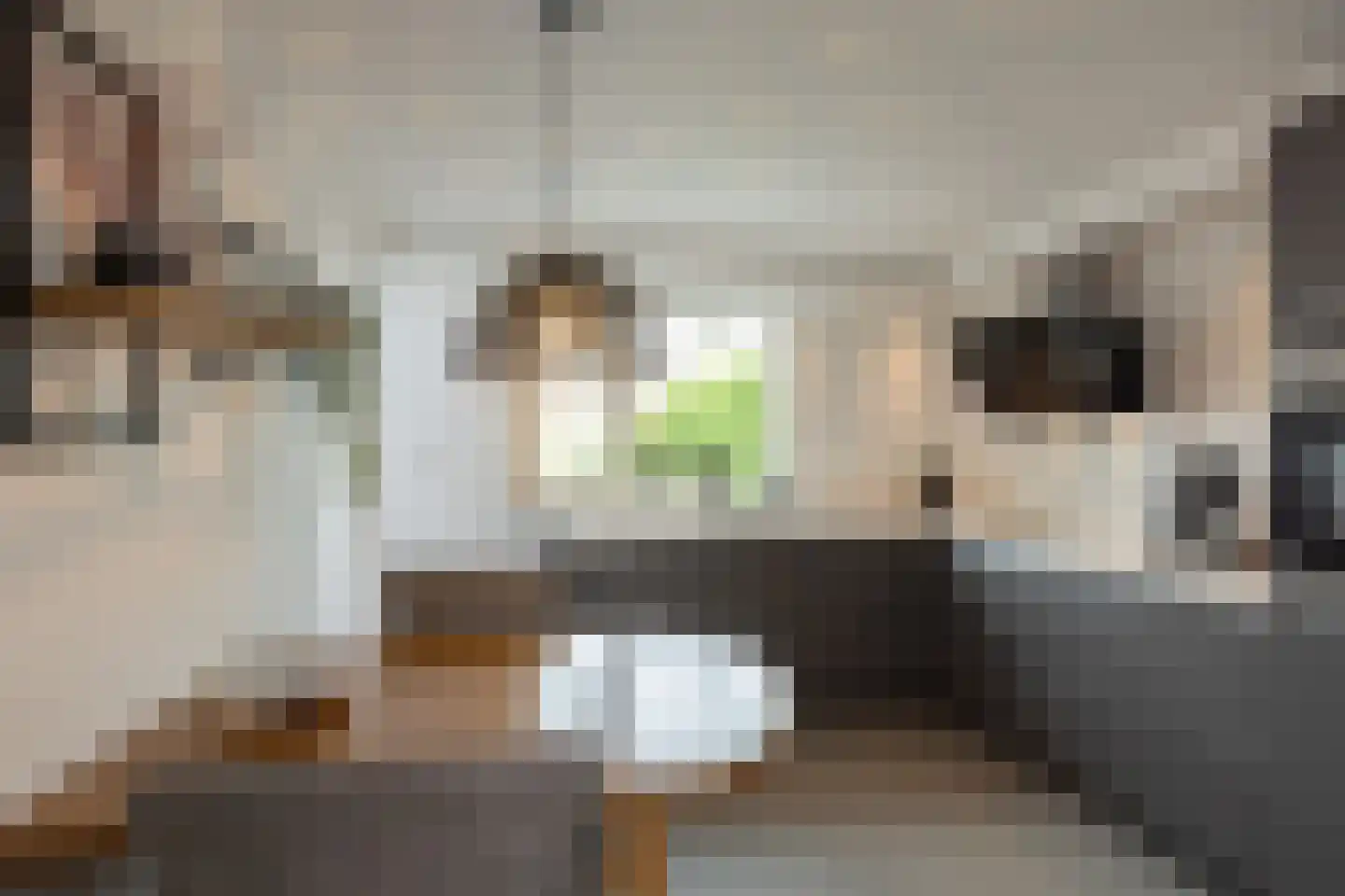 Zuivelstraat 21 Beltrum thumbnail 8
