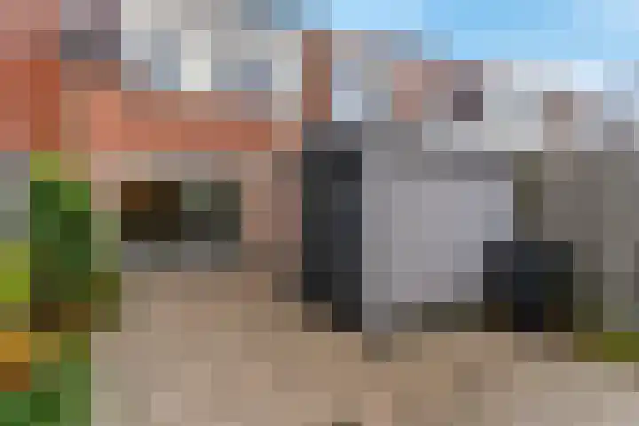 Zuivelstraat 28 Purmerend thumbnail 30