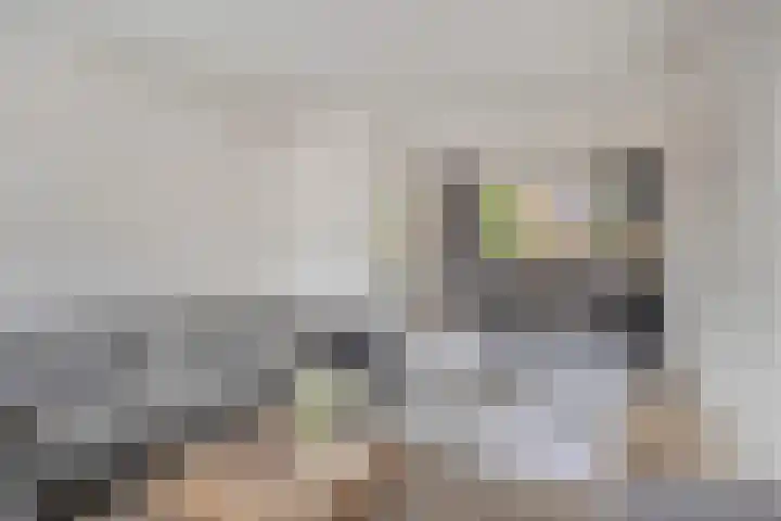 Zuivelstraat 38 Oldenzaal thumbnail 4