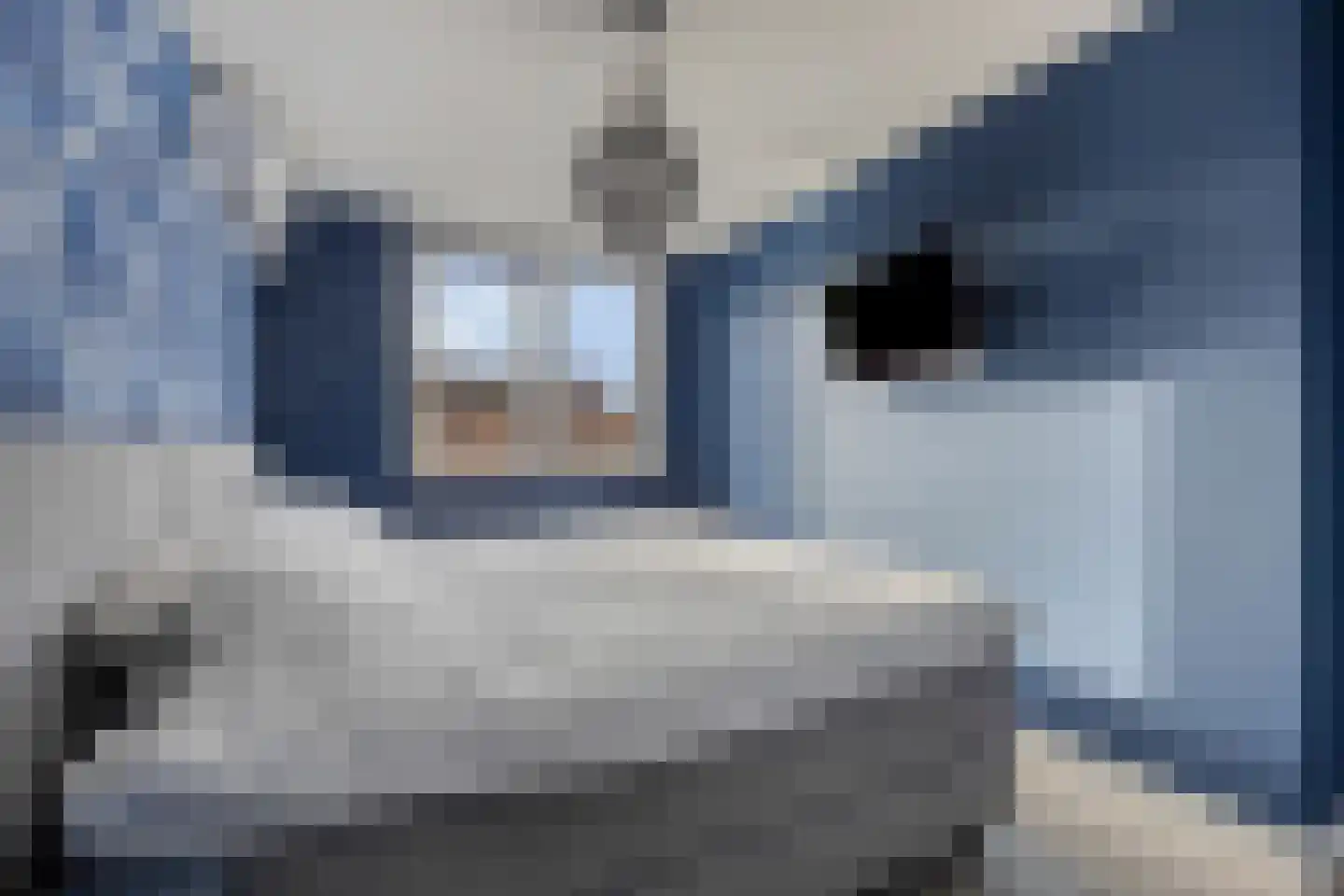 Zuivelstraat 38 Purmerend thumbnail 14