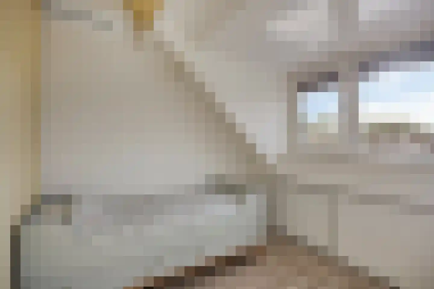 Zuivelstraat 38 Purmerend thumbnail 21